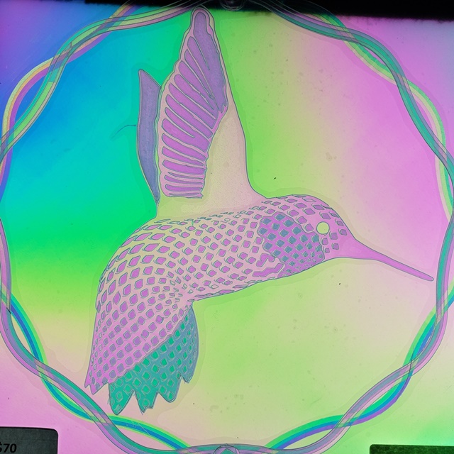 Encircled Feathery Humingbird