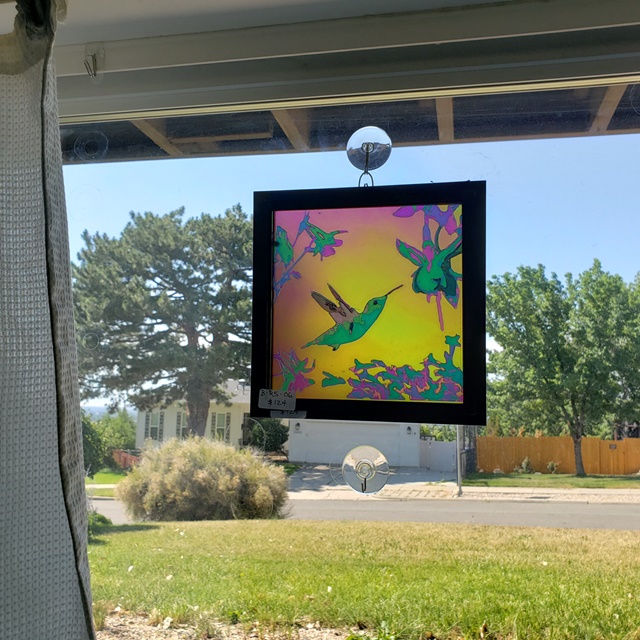 realistic hummingbird with flower
