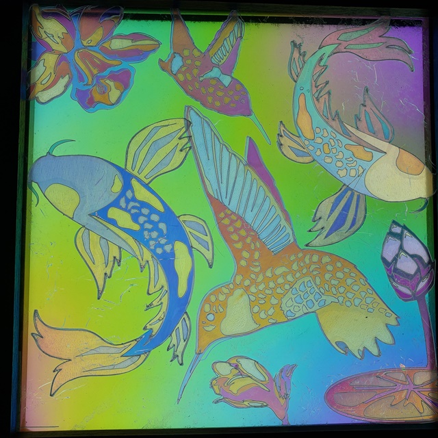 overlay of hummingbirds and koi fish