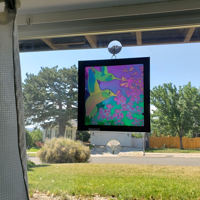 Light and Dark Hummingbird