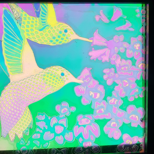 Light and Dark Hummingbird