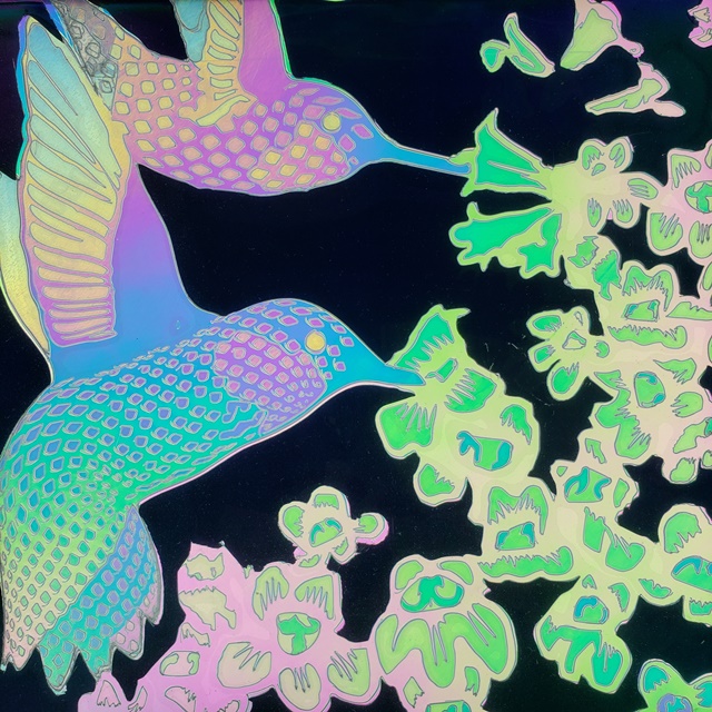Light and Dark Hummingbird