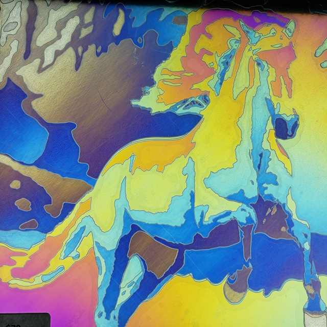 Wild Horse