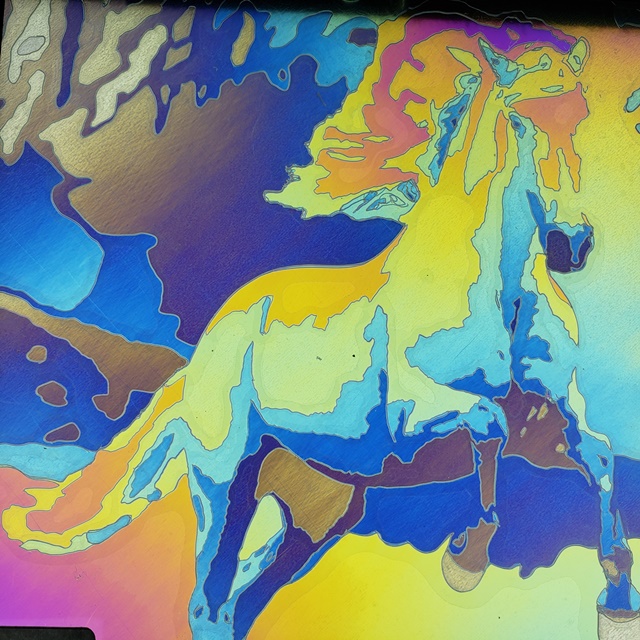 Wild Horse