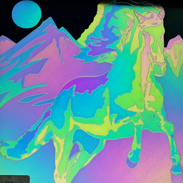 Light and Dark Wild Horse