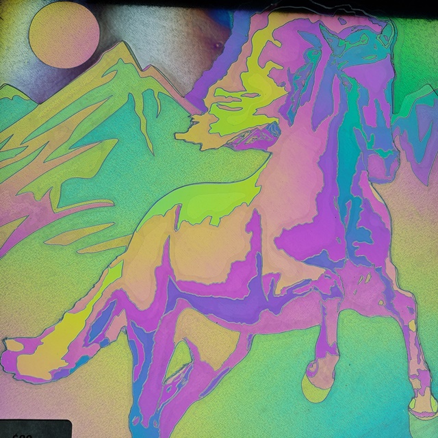 Light and Dark Wild Horse