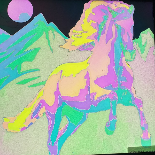 Light and Dark Wild Horse