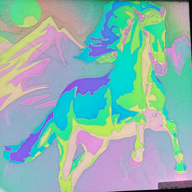 Light and Dark Wild Horse