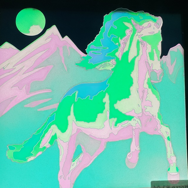 Light and Dark Wild Horse