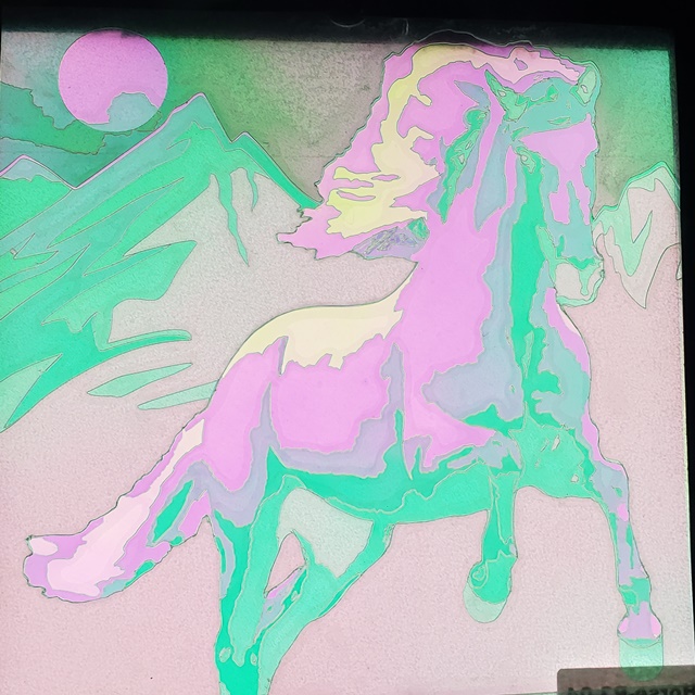 Light and Dark Wild Horse